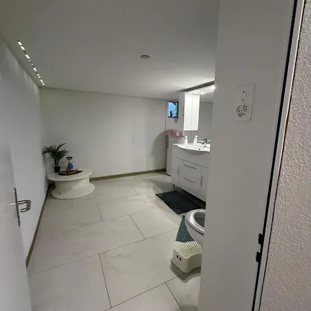 Triemli Haus *